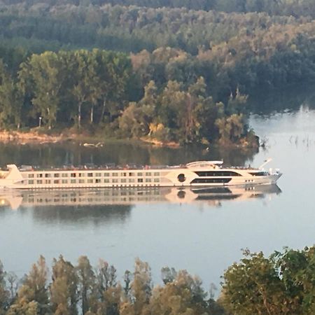 Kuca Za Odmor Brzica Erdut Villa Kültér fotó