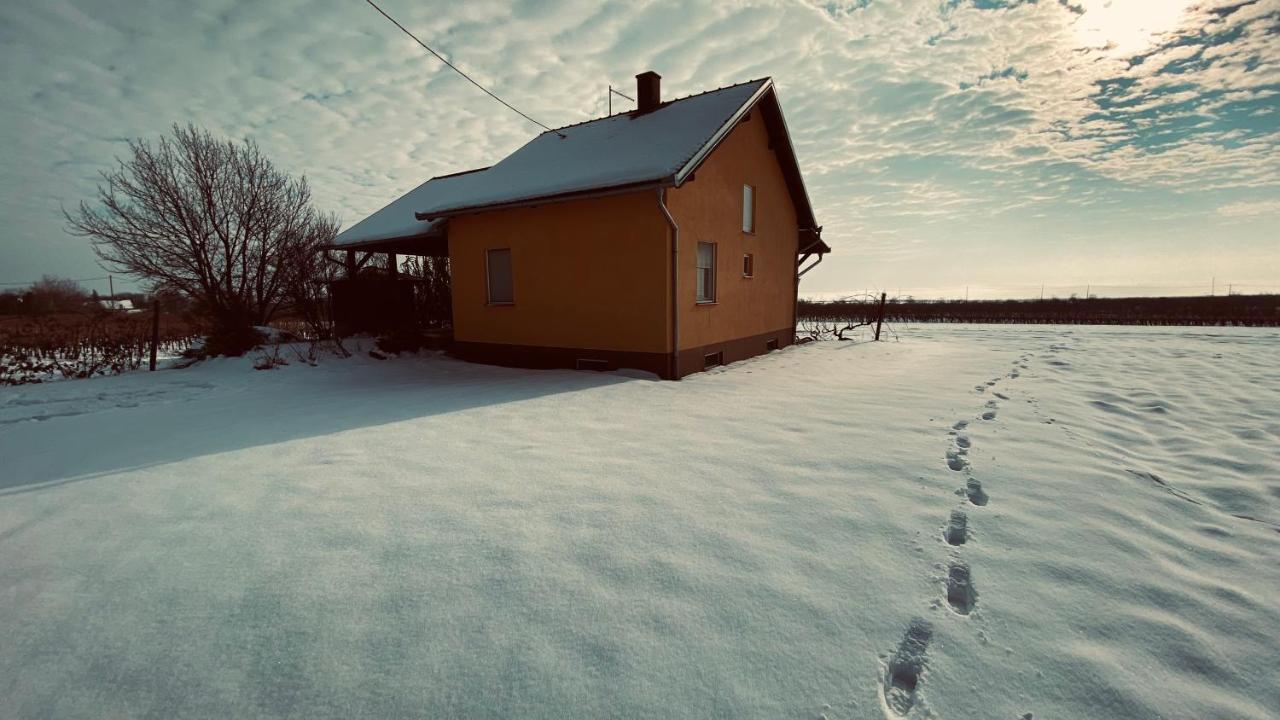 Kuca Za Odmor Brzica Erdut Villa Kültér fotó