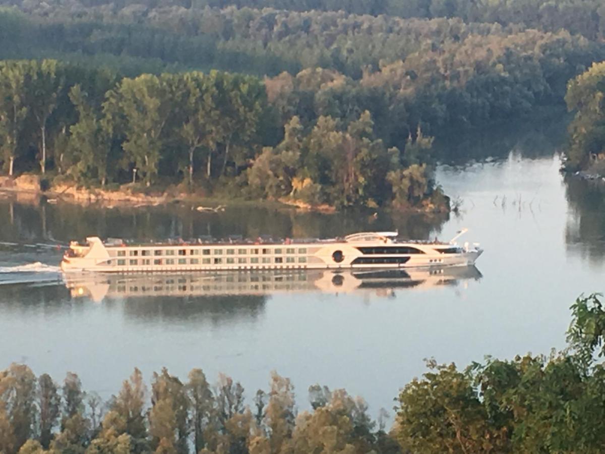 Kuca Za Odmor Brzica Erdut Villa Kültér fotó