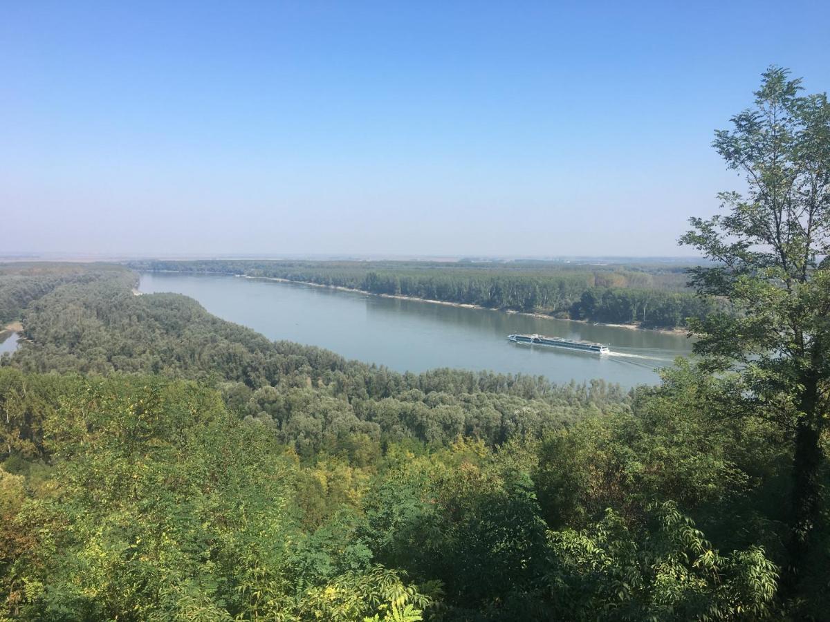 Kuca Za Odmor Brzica Erdut Villa Kültér fotó