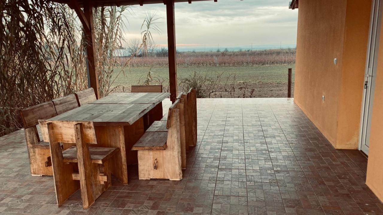 Kuca Za Odmor Brzica Erdut Villa Kültér fotó